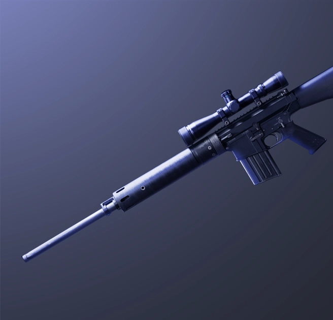 Black Ops 6 Marksman Rifles Leveling Boost - preview image
